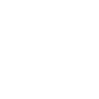 remove-icon