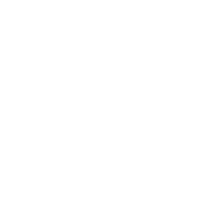 copy-icon