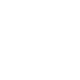 minimize-icon